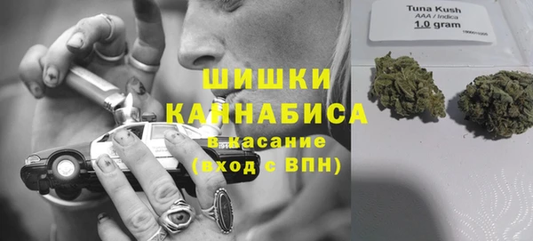 стаф Абаза