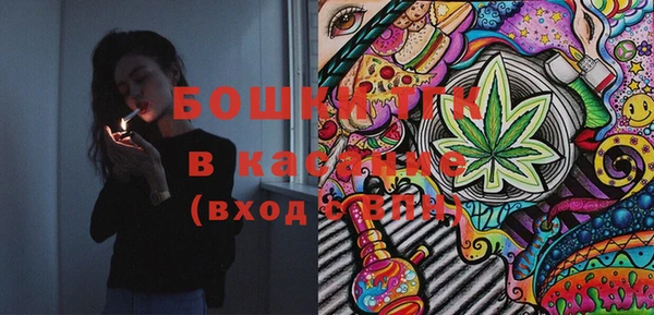 стаф Абаза