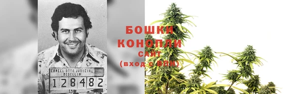 стаф Абаза