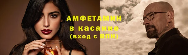 стаф Абаза