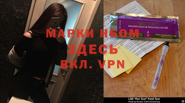 стаф Абаза