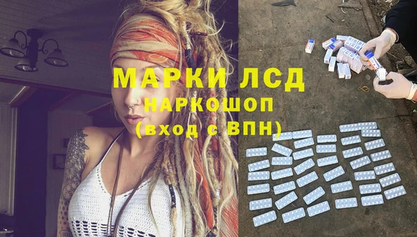 стаф Абаза
